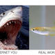 Illustration for article titled Japans Internet You Vs. the Real You Meme